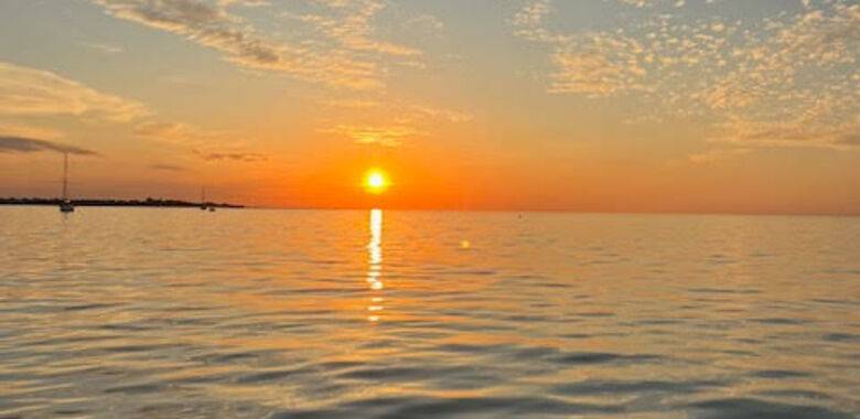 sortie en mer ile de ré